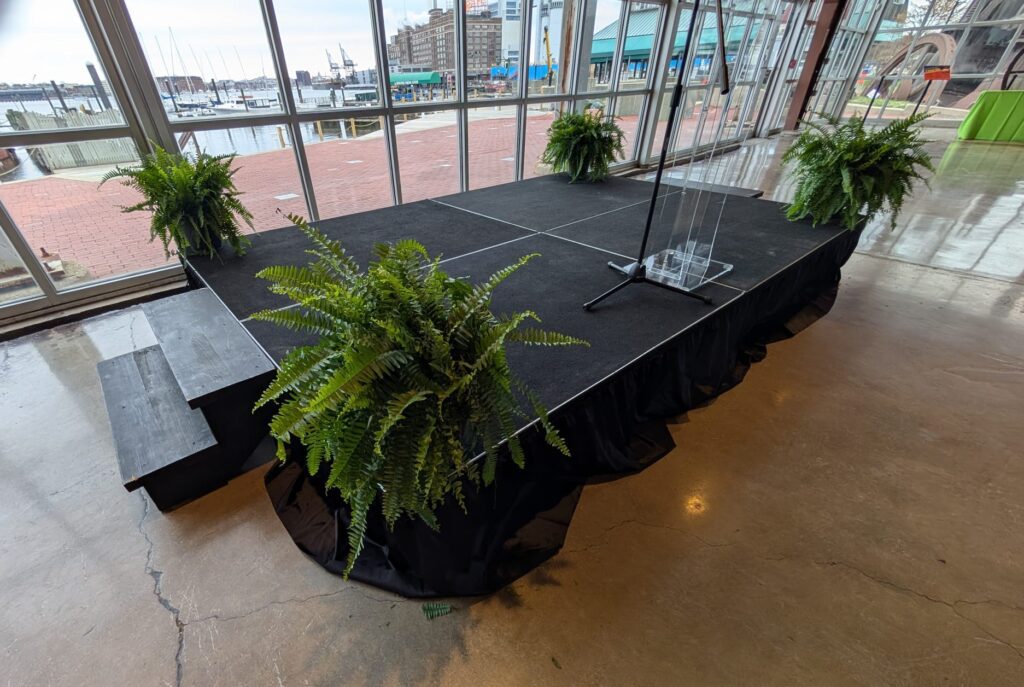 WhatsApp Image 2026 02 18 at 7.06.09 AM